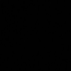 Meet your Posher, Raven